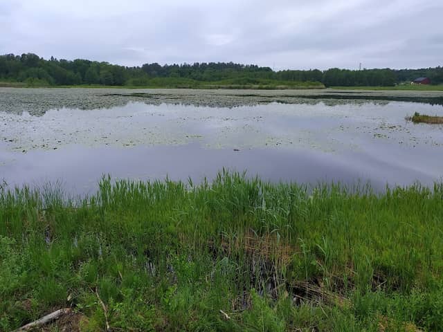 Utsiktsplats - Image 1