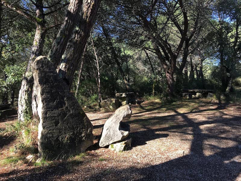 Parque de merendas Cantanhede - Image 1