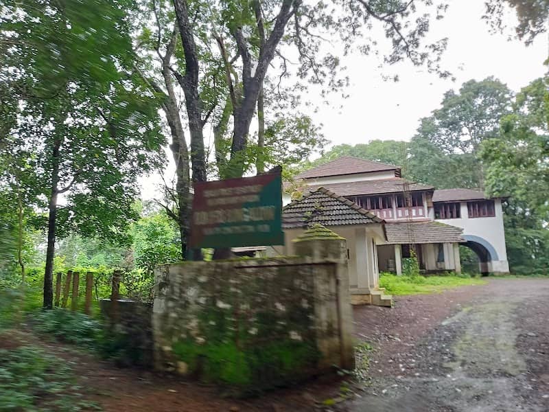 Sky Walk Bungalow Kunnu - Image 2