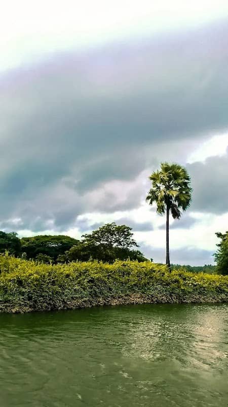 River view point pariyala - Image 1