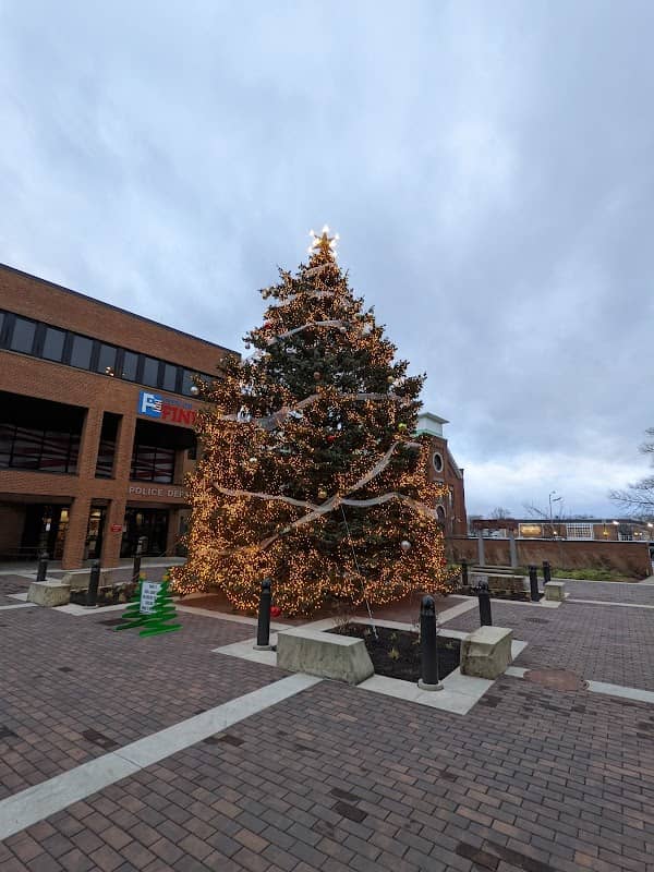 Dorney plaza - Image 2