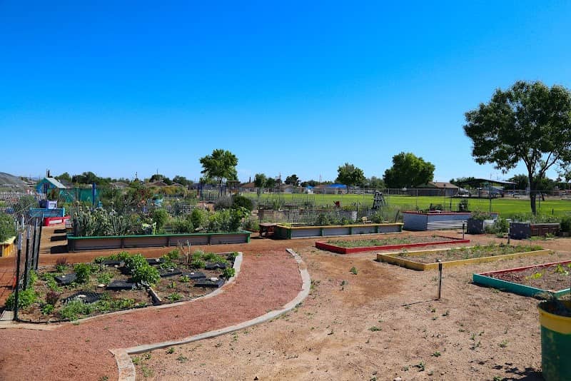 DIG it Kingman Community Garden - Image 2