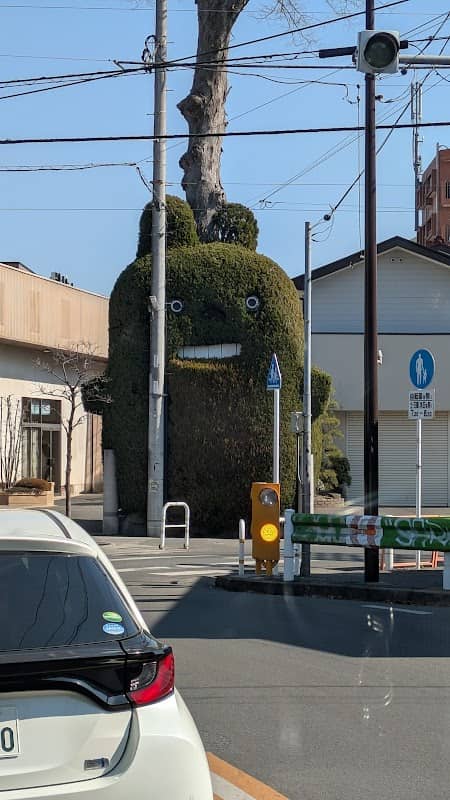 Totoro - Image 1