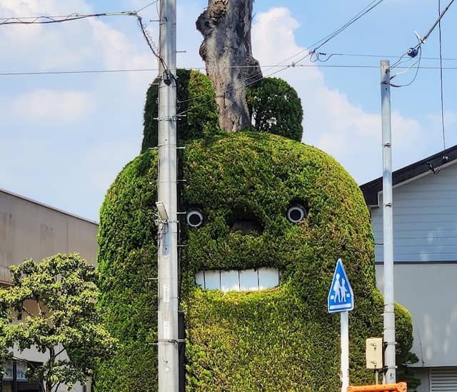 Totoro - Image 2