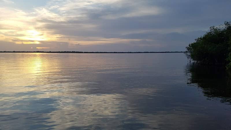 Scurrah's Landing - Image 2