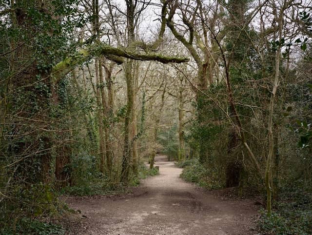 Delph Woods - Image 1