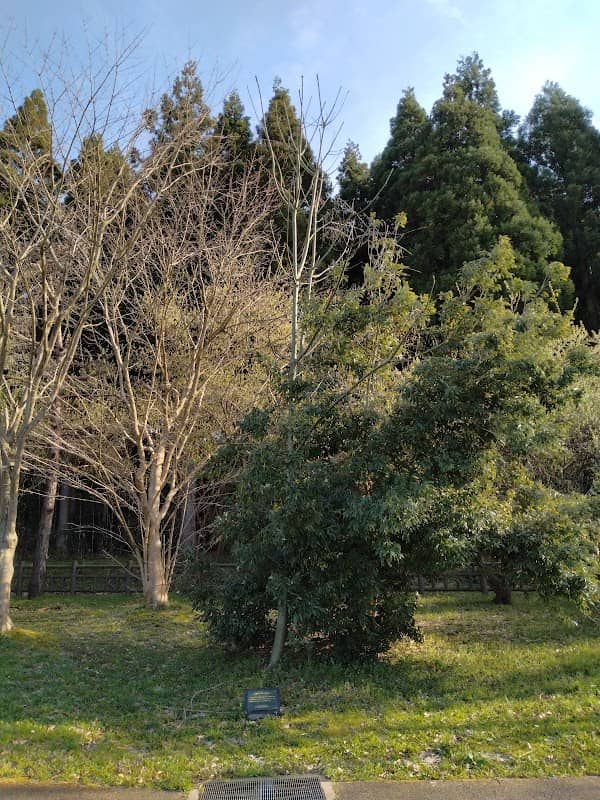 金沢市眺望点「大乗寺丘陵公園見晴らしの丘」 - Image 3