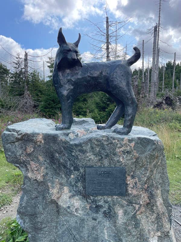 Luchs Denkmal Torfhausmoor - Image 1