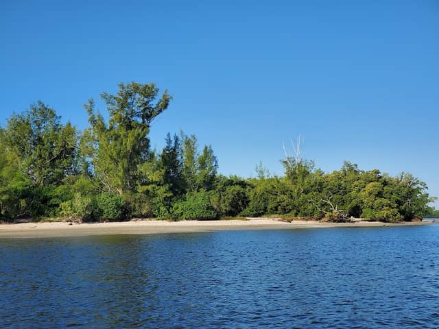 The Picnic Island - Image 2