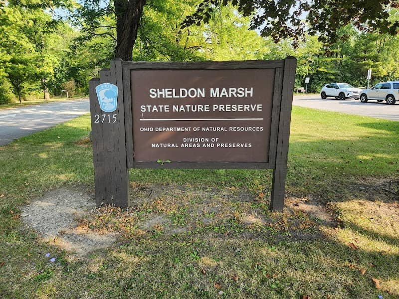 Sheldon Marsh State Nature Preserve - Image 1