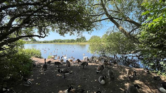 Stubbers Green Weir - Walsall Wood - Aldridge - Image 1
