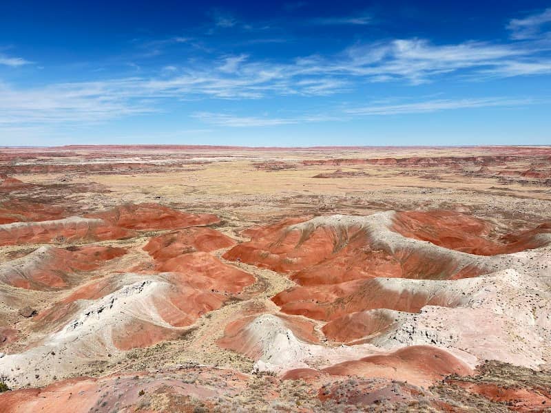 Petrified Forest National Park - Image 1