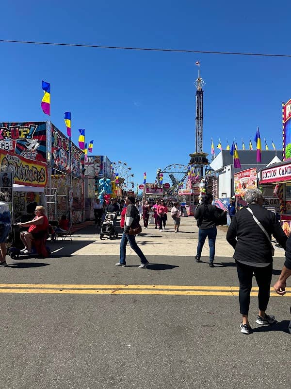 Florida strawberry festival - Image 1