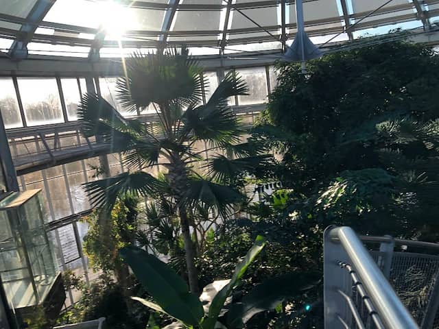 Sunderland Museum, Winter Gardens - Image 2