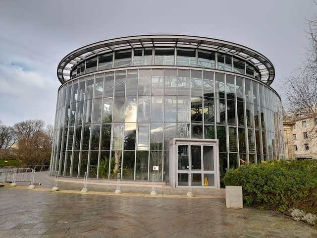 Sunderland Museum, Winter Gardens - Image 3