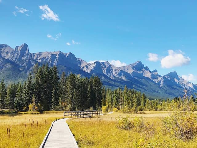 Policeman Creek Trail - Image 1