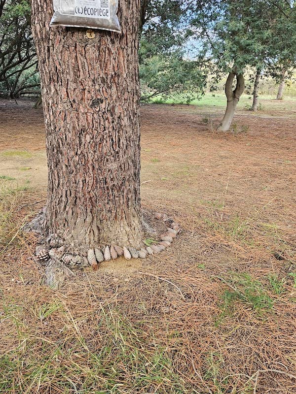Parc nature sauvage - Image 1