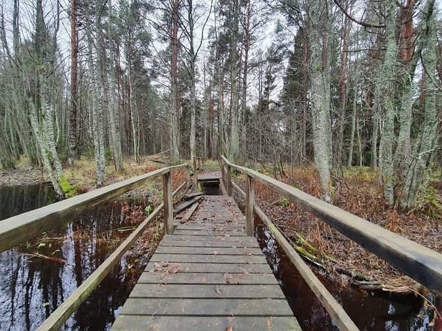 Kärdla matkarada - Image 1