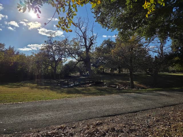 Friedrich Ernst Memorial Park - Image 1