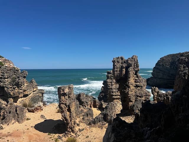 Former Penguin Colony - Image 1
