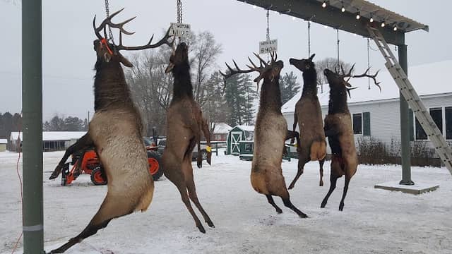 Elk Capital of Michigan - Image 3