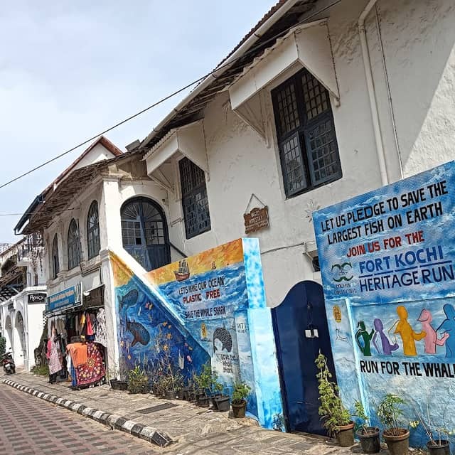 Vasco BigB House - Image 1