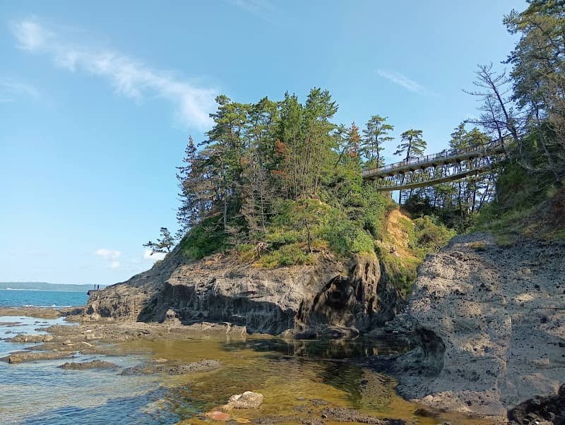 Senjojiki Rock - Image 3