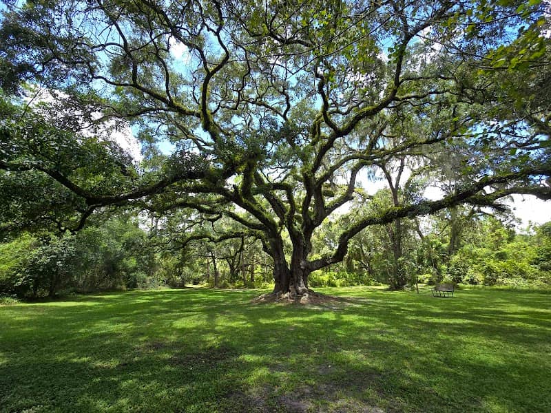 Dade Battlefield Historic State Park - Image 2