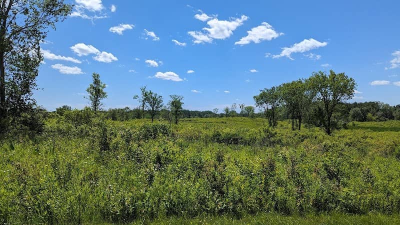 Cuba Marsh Forest Preserve - Image 1