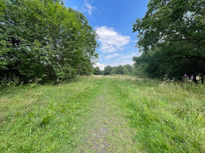 Kingmoor Nature Reserve - Image 3