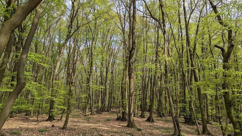 Intruper Berg - Image 1