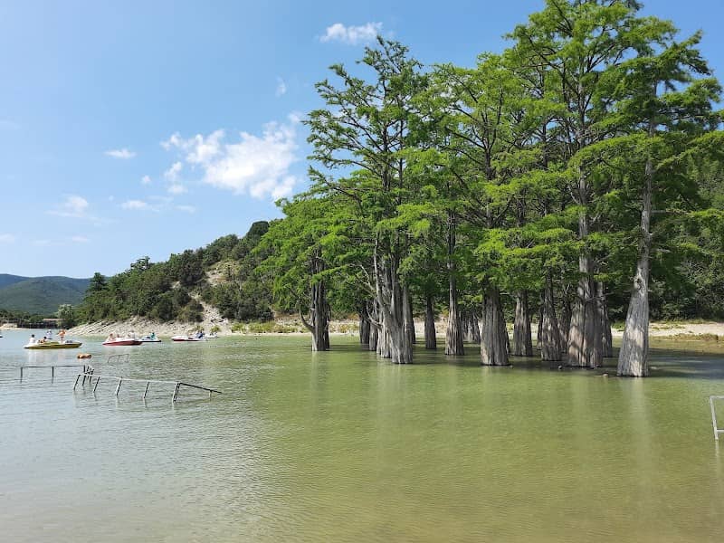 Cupressus Lake - Image 1