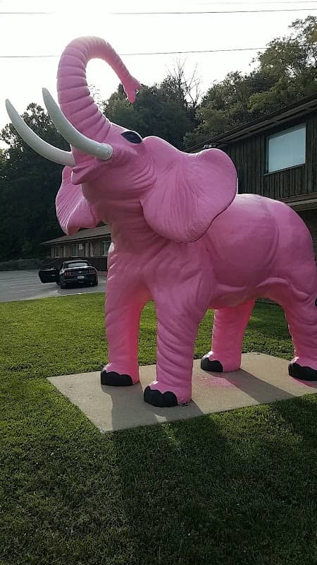 The Pink Elephant - Image 1