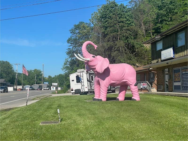 The Pink Elephant - Image 2