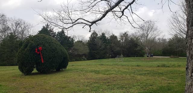 Bison Meadow Park - Image 2