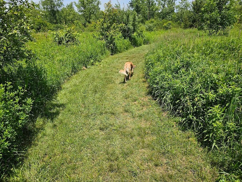 Prairie Wolf Slough County Forest Preserve - Image 1