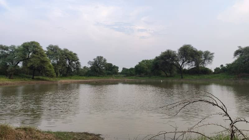 The Lonely Subburb Lake - Image 1
