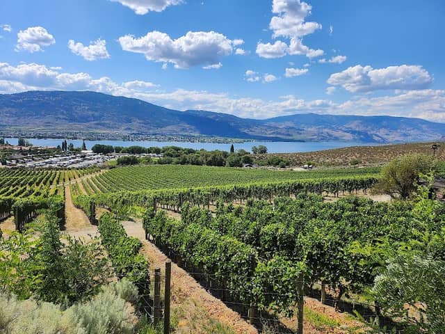 Nk'Mip Cellars - Image 1