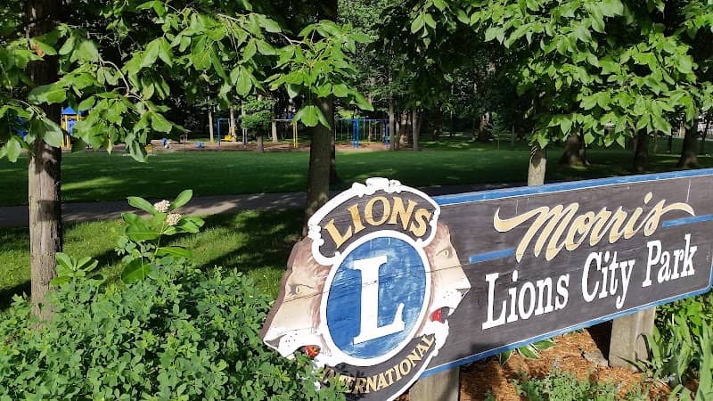 Lions City Park - Image 2