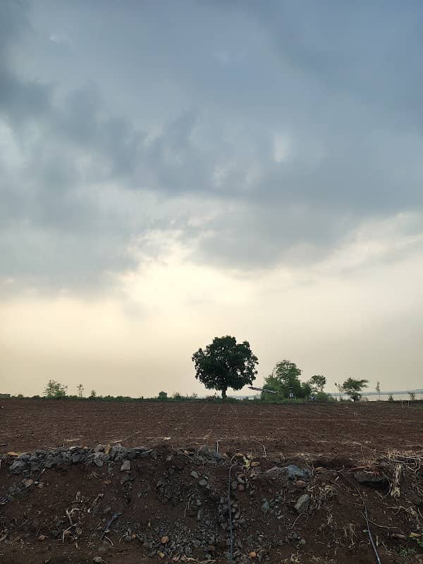 Rathod's farm - Image 1