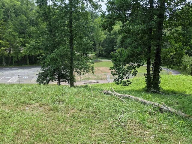 Carmichael Park - Image 1