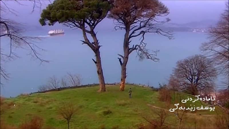 Aşkını ️ Kaybeden Ağaç - Image 2