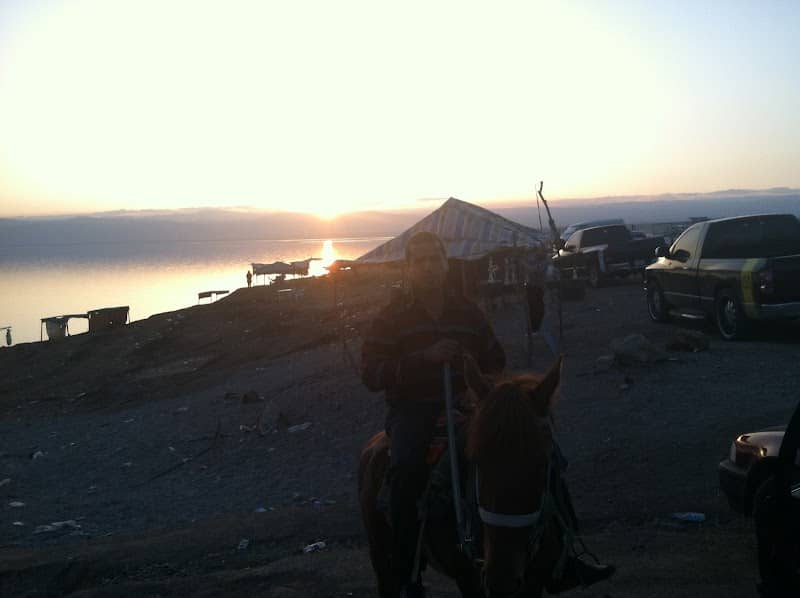 Dead Sea Beach - Image 3