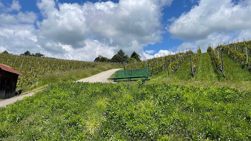 Banc avec vue - Image 1