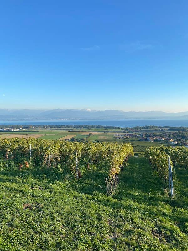 Banc avec vue - Image 2