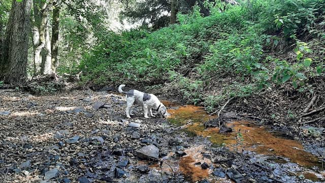 Kleiner Wasserfall - Image 2