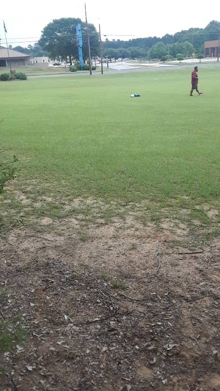 Flewellen Park - Image 1