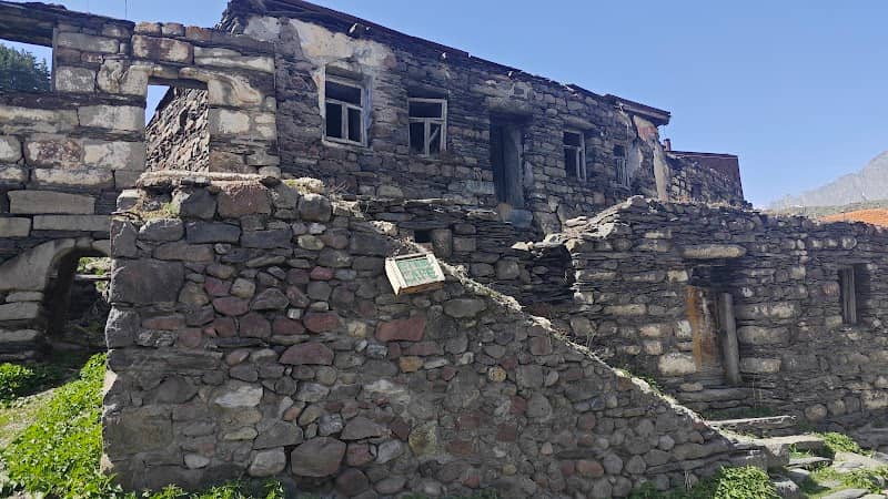 Curious thing near Gergeti - Image 1