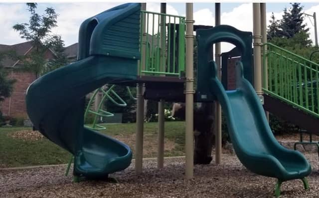 Raspberry Park - Image 1