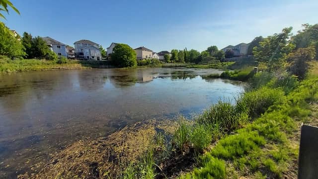 Westwoods Pond - Image 2